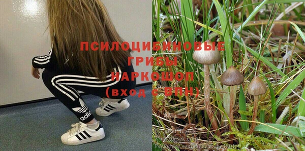 Альфа ПВП Алексеевка